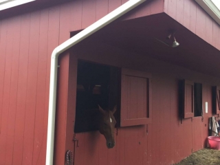 gutters-for-barn