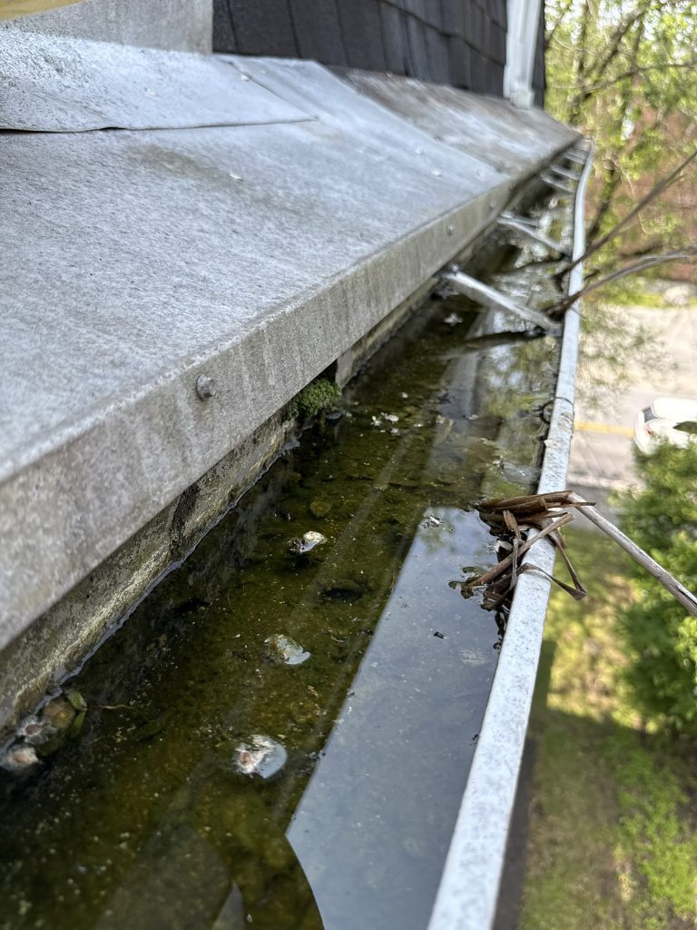 An example of gutters that need to be cleaned and maintained.